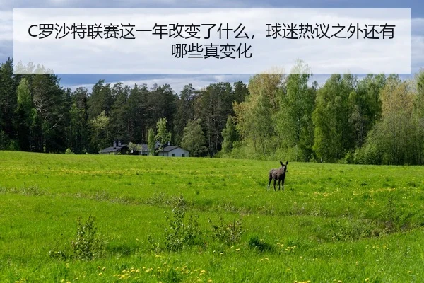 luo-sha-te-lian-sai-zhe-yi-nian-gai-bian-le-shen-me-qiu-mi-re-yi-zhi-wai-hai-you-na-xie-zhen-bian-hua-3-586.jpg